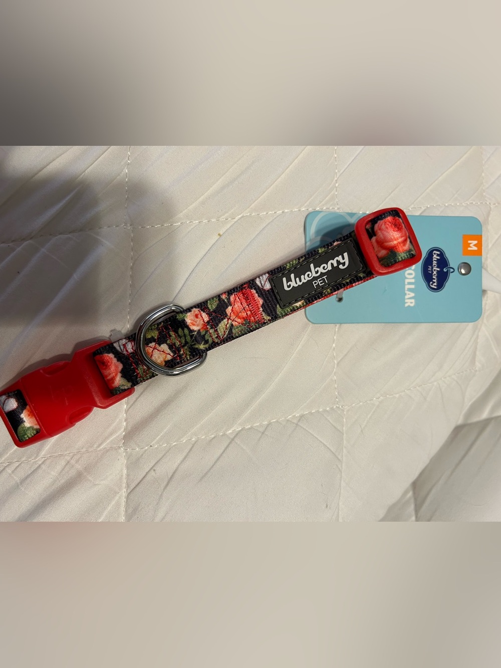 Blueberry Pet Dog Collar medium
